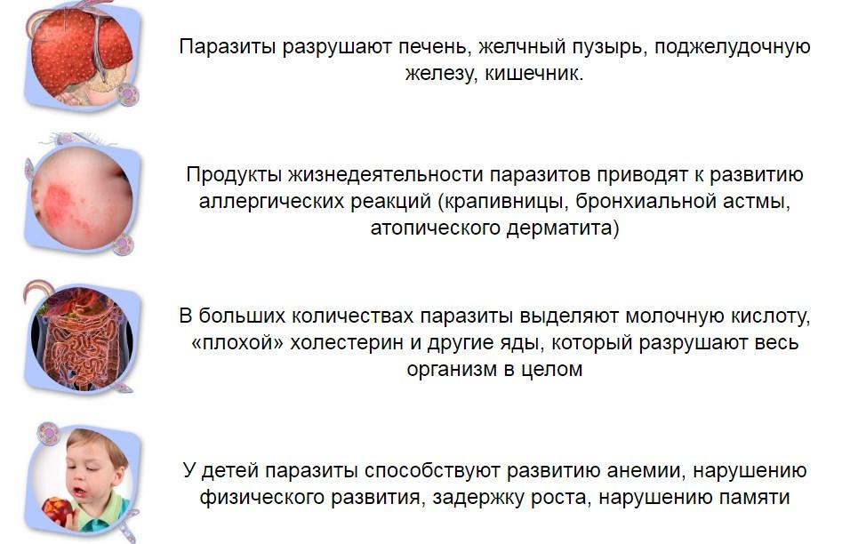 Бактери Форм восстанавливает микрофлору и самочувствие